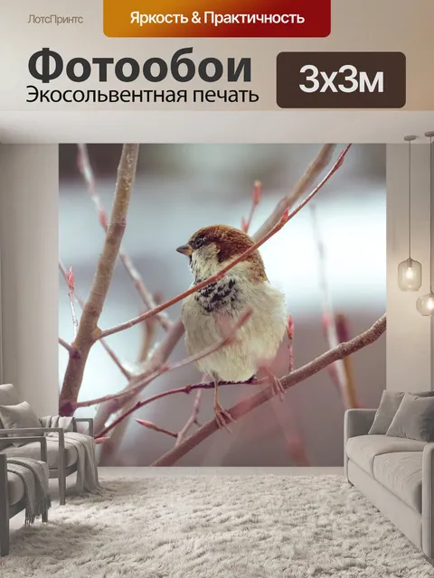 Фотообои Ветви