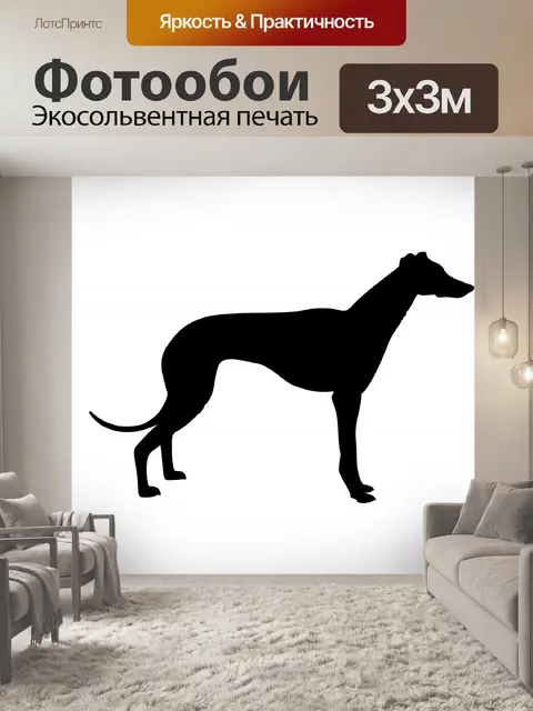 Фотообои серый гончая
