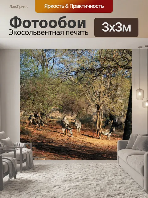Фотообои зебра между деревьями