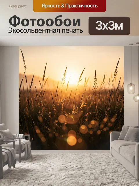 Фотообои Травы в лучах заката
