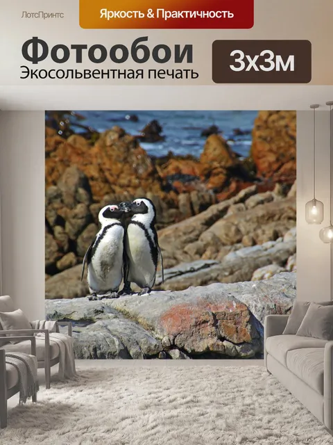 Фотообои Пингвины