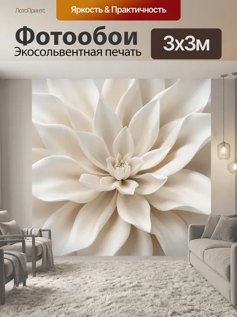 Фотообои Белый цветок крупным планом