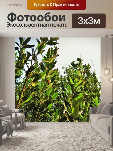 Фотообои Лавровый лист ветви деревьев