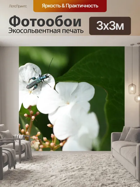 Фотообои Цветок