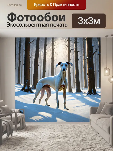 Фотообои борзая в зимнем лесу, где снежное покрытие создает белоснежную ткань, а ее фигура выделяется на этом фоне