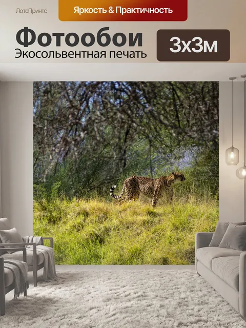 Фотообои Кот гепард