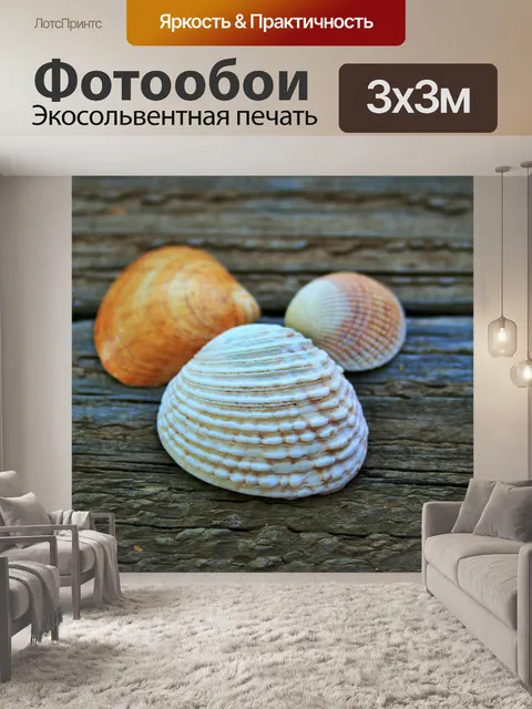Фотообои белый моллюск корпуса
