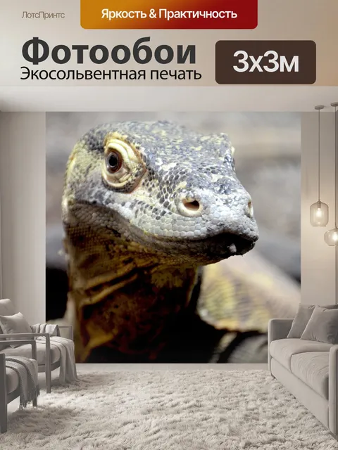 Фотообои Дракон комодо