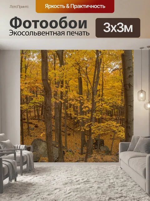 Фотообои Лес