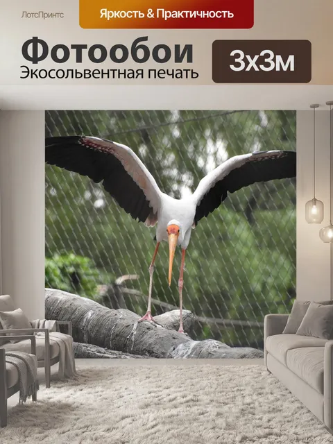 Фотообои Снять