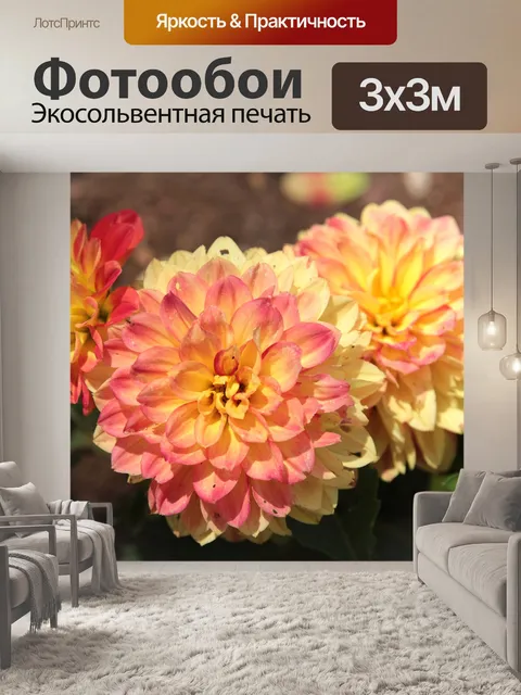 Фотообои Георгины
