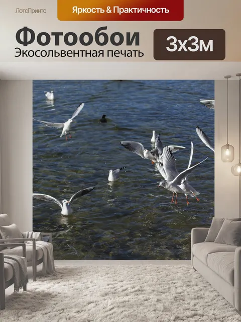Фотообои Чайки