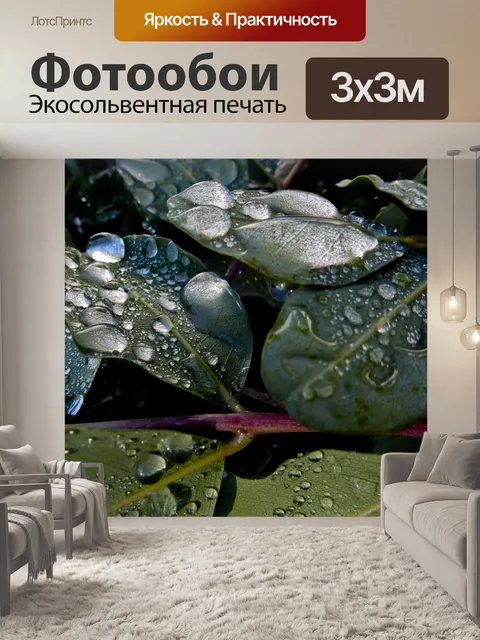 Фотообои Серебряные капли дождя