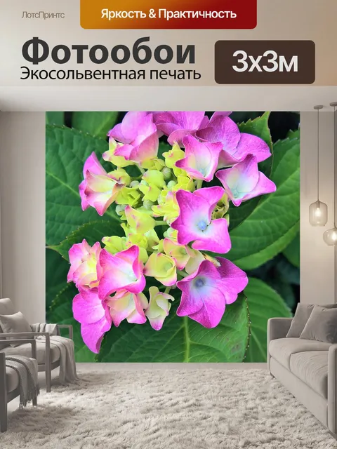 Фотообои Гортензия