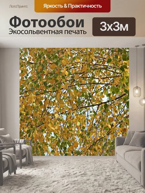 Фотообои Береза