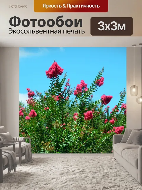 Фотообои Розовый Креп Миртл цветы дерева