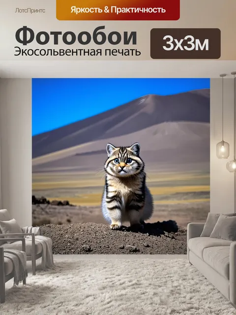 Фотообои манул, стоящий под ярким монгольским небом, фотографии сделаны на фоне горы с глубокими тенями, его глаза…