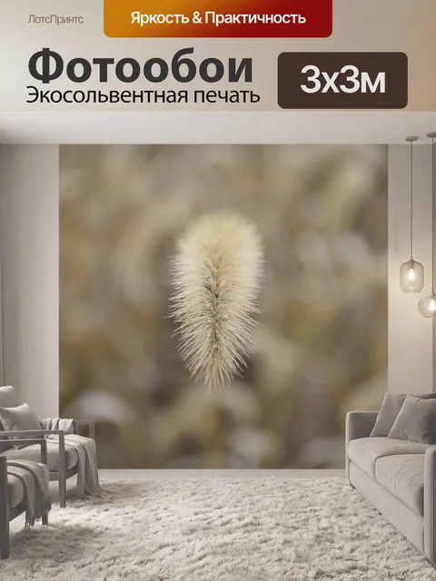 Фотообои Трава собачьего хвоста
