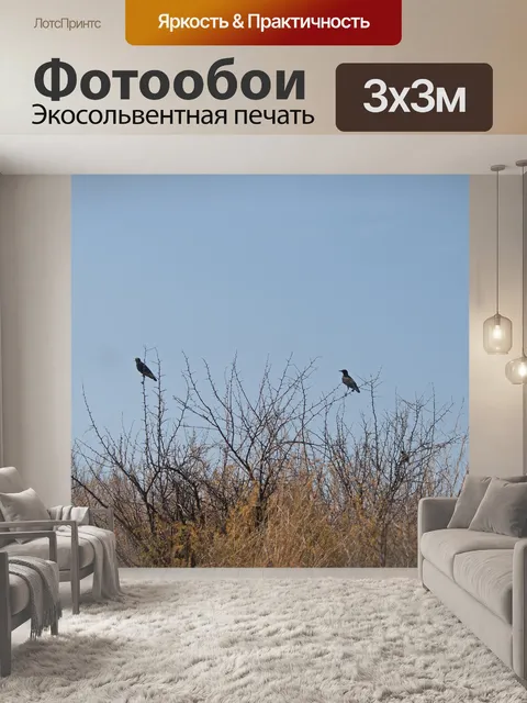 Фотообои Черные птицы, сидевшие в кустарнике