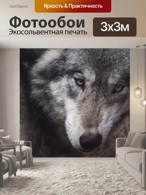 Фотообои Волк