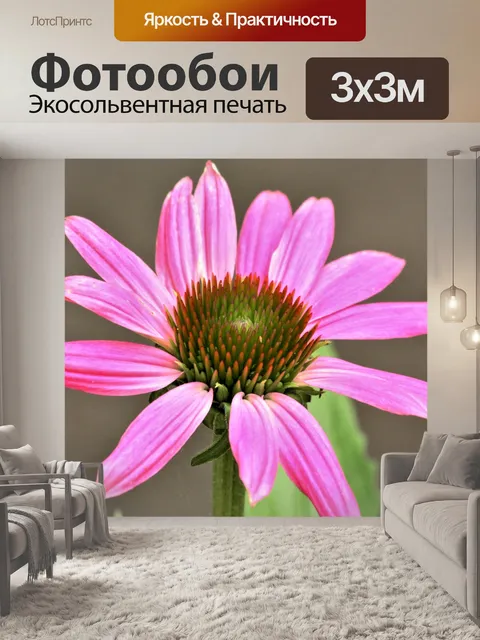 Фотообои Розовый конусообразный крупный план