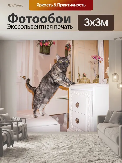 Фотообои Кошка