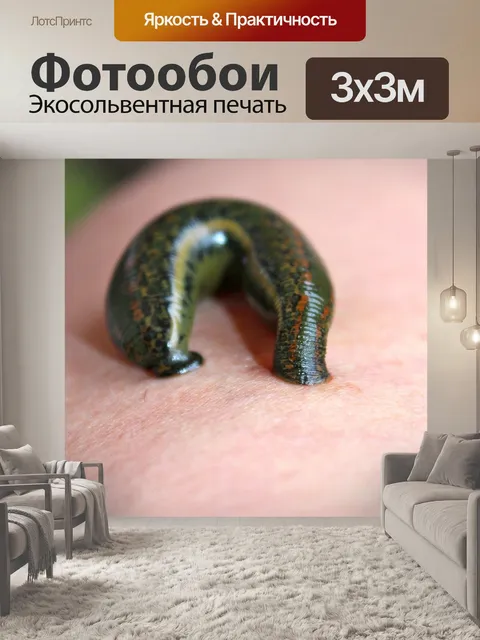 Фотообои Пиявка
