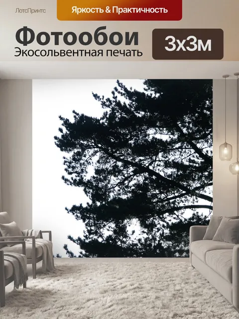 Фотообои сосна в силуэт против неба