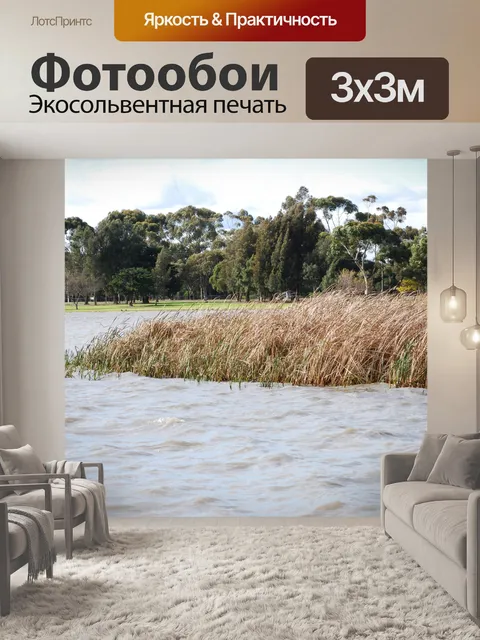 Фотообои Озеро с тростником