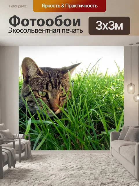 Фотообои Кот в траве