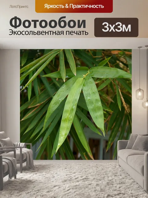Фотообои Бамбук
