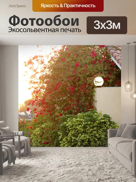 Фотообои Красный бугенвилии куст дома свет