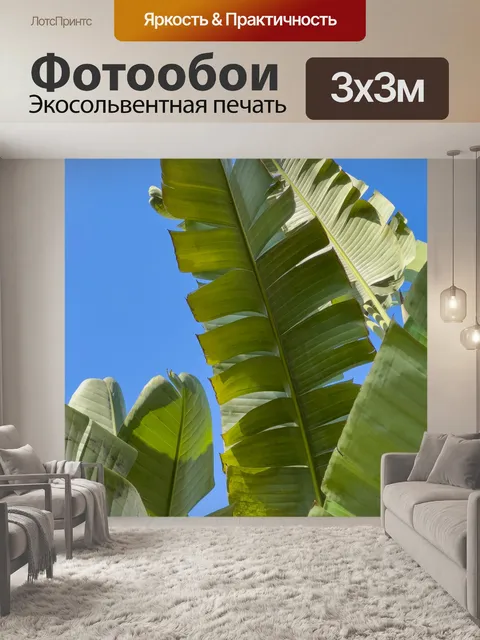 Фотообои Банановые листья против неба