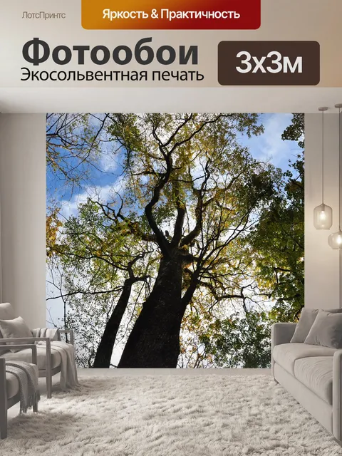 Фотообои Дерево