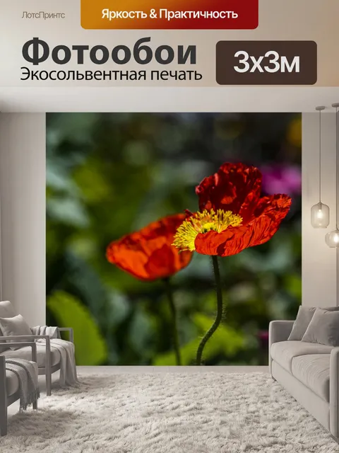 Фотообои нежный цветок мака