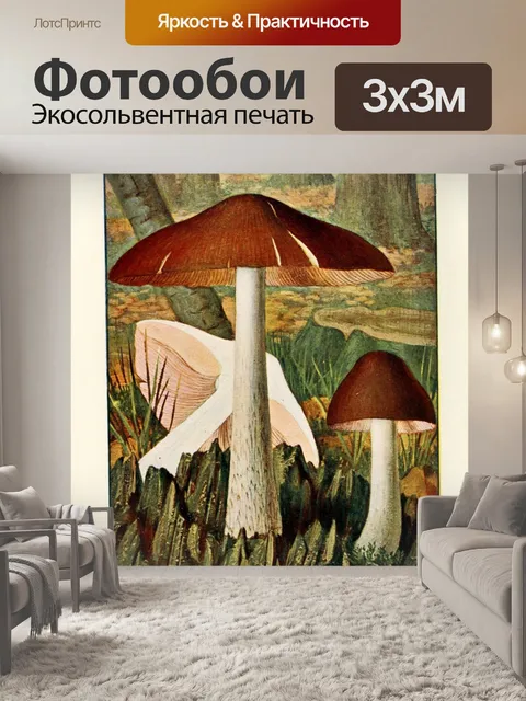 Фотообои Грибы век винтаж старый