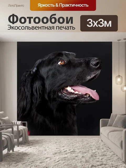 Фотообои Собака