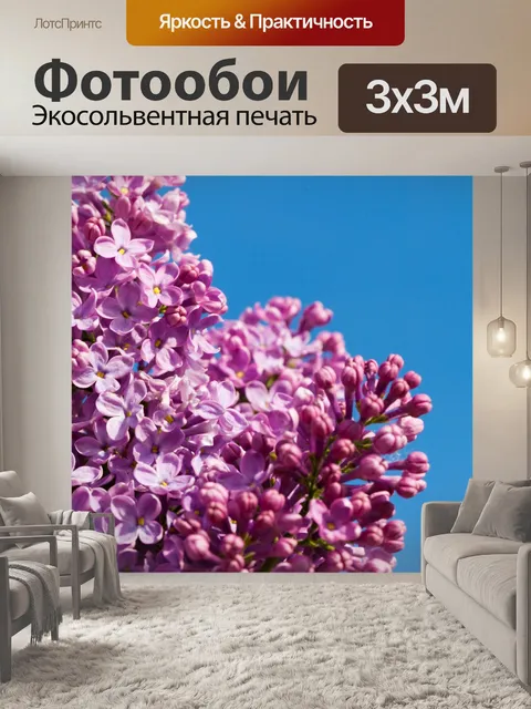 Фотообои фиолетовый сиреневый с неба