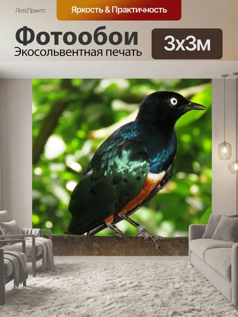 Фотообои Сияющая птица
