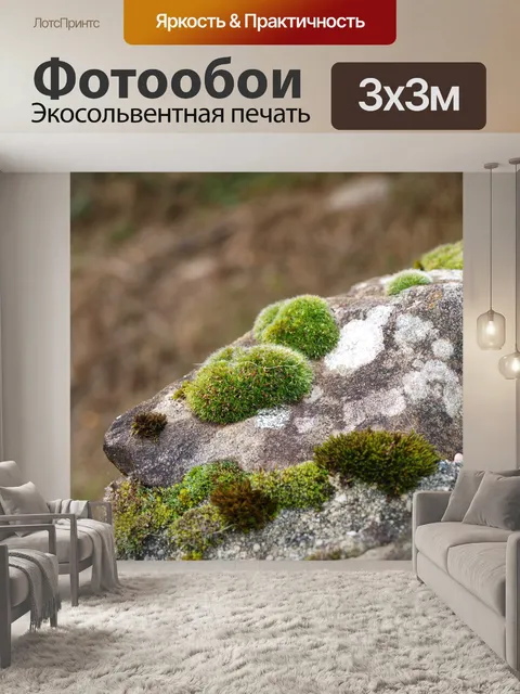 Фотообои Мох