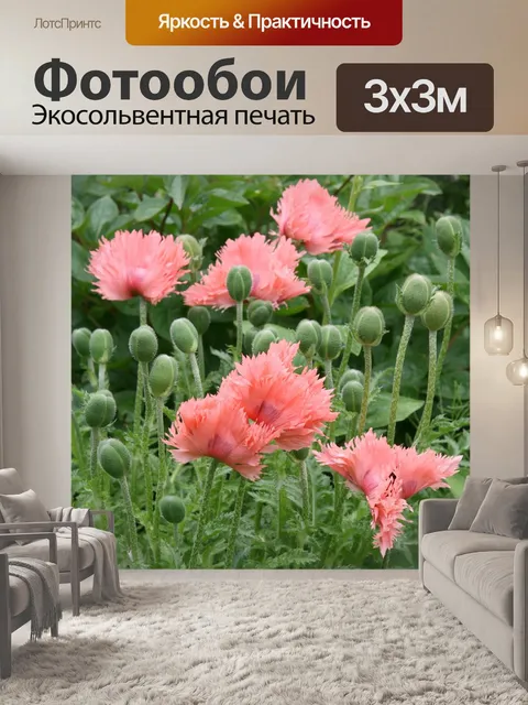 Фотообои Маки