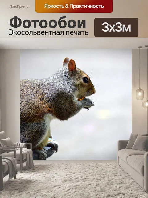 Фотообои Белка