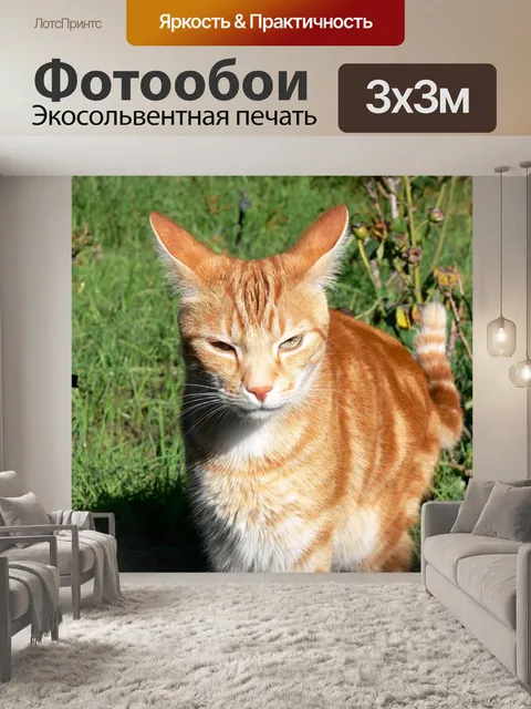 Фотообои Рыжий кот в саду