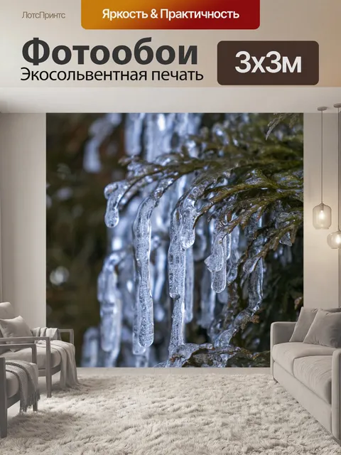 Фотообои Туя