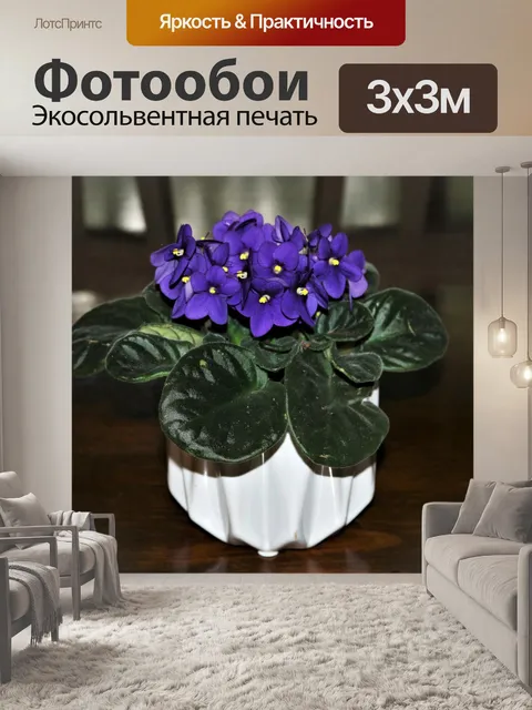 Фотообои Синие африканские фиолетовые цветы