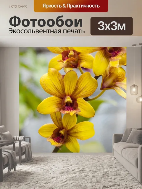 Фотообои Цветок