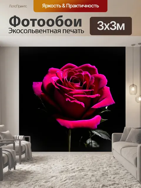 Фотообои розы в стиле нуар, с нежным пересечением света и тени, создающим глубокую атмосферу