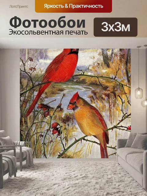 Фотообои Кардинал Винтаж Птица Иллюстрация