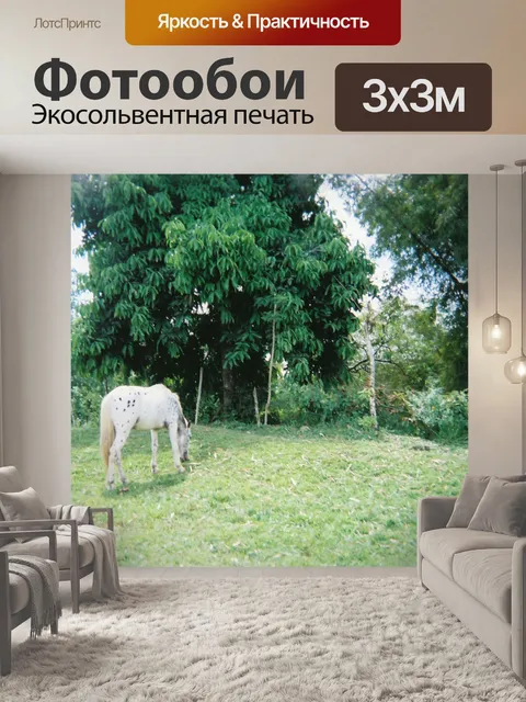 Фотообои Спеклед Хорс