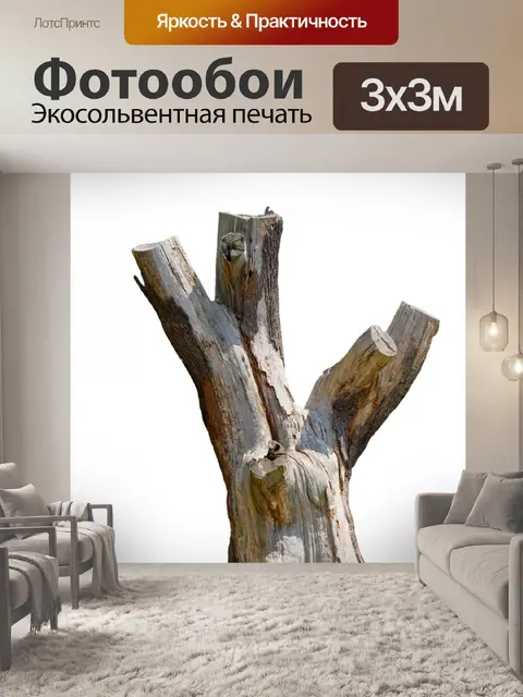 Фотообои Мертвый пень